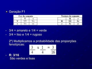Geração F1
- 3/4 = amarelo e 1/4 = verde
- 3/4 = liso e 1/4 = rugoso
2º) Multiplicamos a probabilidade das proporções
fenotípicas:
- R: 3/16
São verdes e lisas
 