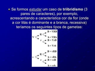 Se formos estudar um caso de triibridismo (3
pares de caracteres), por exemplo,
acrescentando a característica cor da flor (onde
a cor lilás é dominante e a branca, recessiva)
teríamos os seguintes tipos de gametas:
 