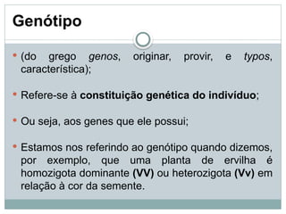 Genótipo
 (do grego genos, originar, provir, e typos,
característica);
 Refere-se à constituição genética do indivíduo;
 Ou seja, aos genes que ele possui;
 Estamos nos referindo ao genótipo quando dizemos,
por exemplo, que uma planta de ervilha é
homozigota dominante (VV) ou heterozigota (Vv) em
relação à cor da semente.
 