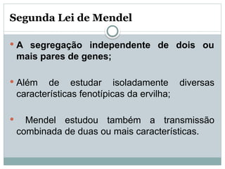 Segunda Lei de Mendel
 A segregação independente de dois ou
mais pares de genes;
 Além de estudar isoladamente diversas
características fenotípicas da ervilha;
 Mendel estudou também a transmissão
combinada de duas ou mais características.
 