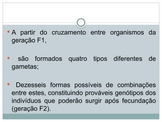  A partir do cruzamento entre organismos da
geração F1,
 são formados quatro tipos diferentes de
gametas;
 Dezesseis formas possíveis de combinações
entre estes, constituindo prováveis genótipos dos
indivíduos que poderão surgir após fecundação
(geração F2).
 