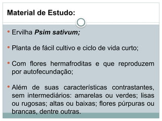 Material de Estudo:
 Ervilha Psim sativum;
 Planta de fácil cultivo e ciclo de vida curto;
 Com flores hermafroditas e que reproduzem
por autofecundação;
 Além de suas características contrastantes,
sem intermediários: amarelas ou verdes; lisas
ou rugosas; altas ou baixas; flores púrpuras ou
brancas, dentre outras.
 