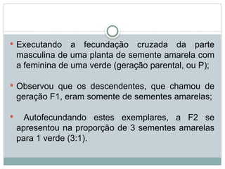  Executando a fecundação cruzada da parte
masculina de uma planta de semente amarela com
a feminina de uma verde (geração parental, ou P);
 Observou que os descendentes, que chamou de
geração F1, eram somente de sementes amarelas;
 Autofecundando estes exemplares, a F2 se
apresentou na proporção de 3 sementes amarelas
para 1 verde (3:1).
 