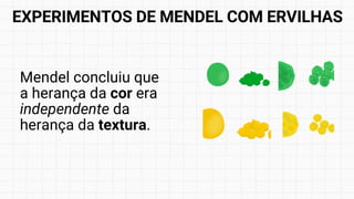 Mendel concluiu que
a herança da cor era
independente da
herança da textura.
EXPERIMENTOS DE MENDEL COM ERVILHAS
 