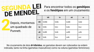 Depois, montamos
um quadrado de
Punnett.
2
No cruzamento de dois di-híbridos, os gametas devem ser colocados na ordem
indicada, tanto na linha (gametas masculinos) como na coluna (gametas femininos).
VR Vr vR vr
VR VVRR VVRr VvRR VvRr
Vr VVRr VVrr VvRr Vvrr
vR VvRR VvRr vvRR vvRr
vr VvRr Vvrr vvRr vvrr
SEGUNDA LEI
DE MENDEL
Para encontrar todos os genótipos
e os fenótipos em um cruzamento:
 