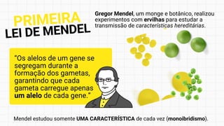 “Os alelos de um gene se
segregam durante a
formação dos gametas,
garantindo que cada
gameta carregue apenas
um alelo de cada gene.”
PRIMEIRA
LEI DE MENDEL
Gregor Mendel, um monge e botânico, realizou
experimentos com ervilhas para estudar a
transmissão de características hereditárias.
Mendel estudou somente UMA CARACTERÍSTICA de cada vez (monoibridismo).
 
