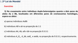 1.2ª Lei de Mendel
Exercícios
5) No cruzamento entre indivíduos duplo-heterozigotos quanto a dois pares de
alelos Aa e Bb, localizados em diferentes pares de cromossomos homólogos,
espera-se obter:
a) apenas indivíduos AaBb
b) indivíduos AB e ab na proporção de 1:1
c) indivíduos AA, Ab, aB e bb na proporção 9:3:3:1
d) indivíduos A_B_, A_bb, aaB_ e aabb, na proporção de 9:3:3:1, respectivamente.
 