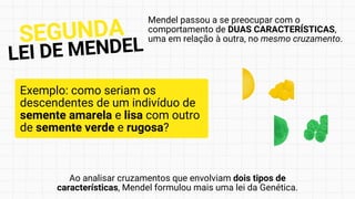 Mendel passou a se preocupar com o
comportamento de DUAS CARACTERÍSTICAS,
uma em relação à outra, no mesmo cruzamento.
Ao analisar cruzamentos que envolviam dois tipos de
características, Mendel formulou mais uma lei da Genética.
Exemplo: como seriam os
descendentes de um indivíduo de
semente amarela e lisa com outro
de semente verde e rugosa?
SEGUNDA
LEI DE MENDEL
 