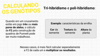 Quando em um cruzamento
estão em jogo três ou mais
pares de alelos, o cálculo
de F2 pela construção de
quadros de Punnett pode
ser muito trabalhoso.
Nesses casos, é mais fácil calcular separadamente
a F2 de cada um e multiplicar os resultados.
CALCULANDO
OS GENÓTIPOS
Tri-hibridismo e poli-hibridismo:
Exemplo: características da ervilha
Cor da
semente
Textura da
semente
Altura da
planta
 