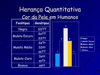 Herança Quantitativa Cor da Pele em Humanos Fenótipos Genótipos Negro SSTT Mulato Escuro SsTT SSTt Mulato Médio SsTt SStt ssTT Mulato Claro Sstt ssTt Branco sstt 