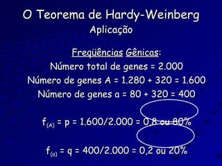 O Teorema de Hardy-Weinberg Aplicação Freqüências   Gênicas : Número total de genes = 2.000 Número de genes A = 1.280 + 320 = 1.600 Número de genes a = 80 + 320 = 400 f (A)  = p = 1.600/2.000 = 0,8 ou 80% f (a)  = q = 400/2.000 = 0,2 ou 20% 