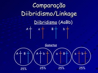 Comparação Diibridismo/Linkage Diibridismo  (AaBb) A a B b Gametas A B A b a B a b 25% 25% 25% 25% 