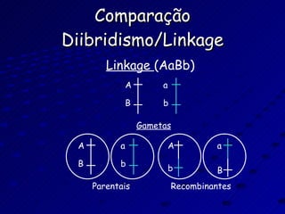 Comparação Diibridismo/Linkage Linkage  (AaBb) A B a b Gametas A B a b A b a B Parentais Recombinantes 