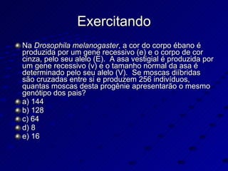 Exercitando Na  Drosophila melanogaster , a cor do corpo ébano é produzida por um gene recessivo (e) e o corpo de cor cinza, pelo seu alelo (E).  A asa vestigial é produzida por um gene recessivo (v) e o tamanho normal da asa é determinado pelo seu alelo (V).  Se moscas diíbridas são cruzadas entre si e produzem 256 indivíduos, quantas moscas desta progênie apresentarão o mesmo genótipo dos pais? a) 144 b) 128 c) 64 d) 8 e) 16 