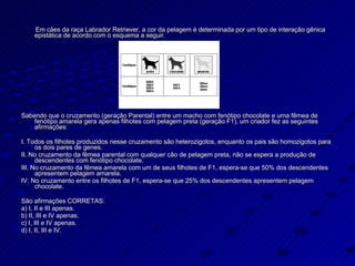 Em cães da raça Labrador Retriever, a cor da pelagem é determinada por um tipo de interação gênica epistática de acordo com o esquema a seguir. Sabendo que o cruzamento (geração Parental) entre um macho com fenótipo chocolate e uma fêmea de fenótipo amarela gera apenas filhotes com pelagem preta (geração F1), um criador fez as seguintes afirmações: I. Todos os filhotes produzidos nesse cruzamento são heterozigotos, enquanto os pais são homozigotos para os dois pares de genes. II. No cruzamento da fêmea parental com qualquer cão de pelagem preta, não se espera a produção de descendentes com fenótipo chocolate. III. No cruzamento da fêmea amarela com um de seus filhotes de F1, espera-se que 50% dos descendentes apresentem pelagem amarela. IV. No cruzamento entre os filhotes de F1, espera-se que 25% dos descendentes apresentem pelagem chocolate. São afirmações CORRETAS: a) I, II e III apenas. b) II, III e IV apenas. c) I, III e IV apenas. d) I, II, III e IV. 
