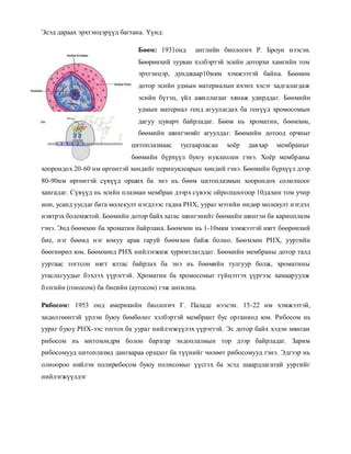 2 lekts | PDF