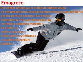 Emagrece
Por conter ômega 3,6,9 o óleo de linhaça ajuda
no emagrecimento. Estudos comprovam que sua deficiência
produz gordura corporal. Os ômegas
estimulam a PG1 que são capazes de
 estimular a gordura marrom e
de ajudar na
regeneração das
mitocôndrias, otimizando
 a queima de gordura
(lipólise).
 