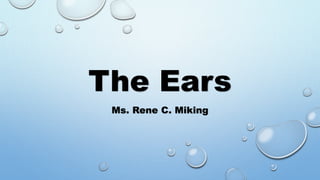 The Ears
Ms. Rene C. Miking
 