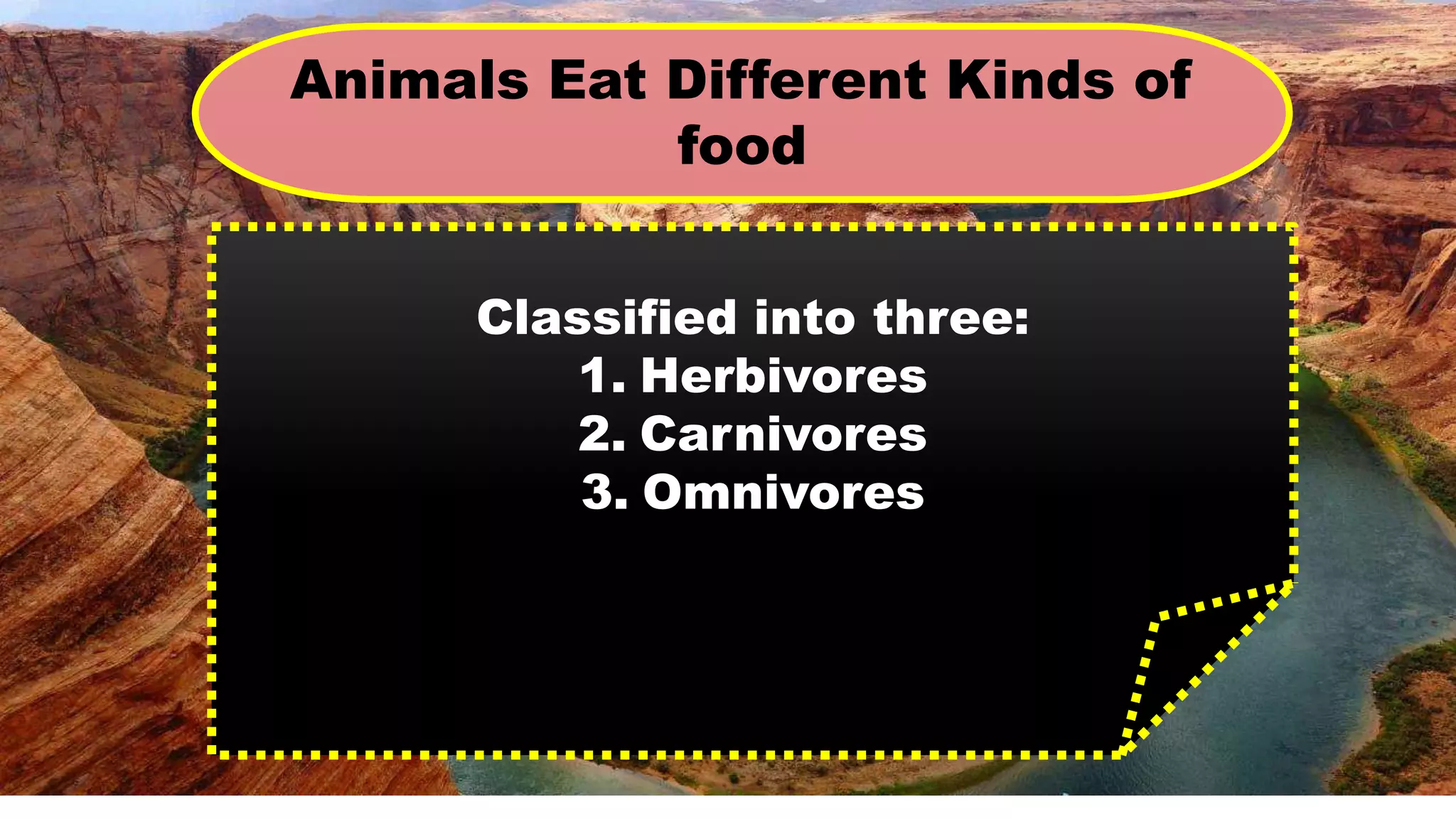 Animals Eat Different Kinds of
food
Classified into three:
1. Herbivores
2. Carnivores
3. Omnivores
 