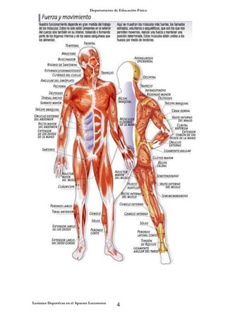 Departamento de Educación Física
Lesiones Deportivas en el Aparato Locomotor
4
 