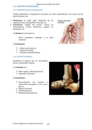 Departamento de Educación Física
Lesiones Deportivas en el Aparato Locomotor
11
3.4. LESIONES TENDINOSAS
3.4.1. ENFERMEDAD DE LAS INSERCIONES
Cuadro inflamatorio o degenerativo del punto de unión osteotendinoso. Las causas de este
tipo de lesiones son:
1. Intrínsecas: la edad, mala alineación de los
segmentos óseos, desequilibrio muscular, etc.
2. Extrínsecas: calidad del terreno, errores de
entrenamiento, técnica defectuosa, equipos no
apropiados, etc.
El síntoma de esta lesión es.
Dolor espontáneo irradiado a la masa
muscular.
El tratamiento:
 + Hielo tras el ejercicio.
 + Reposo funcional.
 + Pomadas antiinflamatorias.
3.4.2. ROTURA TENDINOSA
Producida en general, por un movimiento
brusco o demasiado violento.
Los síntomas son:
 Dolor agudo e inflamación local.
 Impotencia funcional.
El tratamiento:
 Inmovilización con escayola o
intervención quirúrgica en los casos
graves.
 Reposo funcional.
 Antiinflamatorios.
 Recuperación progresiva.
 