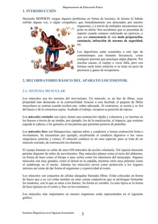 Departamento de Educación Física
Lesiones Deportivas en el Aparato Locomotor
3
1. INTRODUCCIÓN
Haciendo DEPORTE surgen algunos problemas en forma de lesiones; tú mismo lo habrás
sufrido alguna vez, o algún compañero; que inmediatamente son detectados por nuestro
organismo, y a través de múltiples mecanismos nos
pone en alerta. Son accidentes que se presentan de
repente cuando estamos realizando un ejercicio, o
que son consecuencia de una mala preparación,
cansancio, infracción de normas de seguridad,
etc.
Los deportistas están sometidos a este tipo de
contratiempos con bastante frecuencia, como
cualquier persona que practique algún deporte. Por
muchas causas, el cuerpo a veces falla, pero con
fortuna suele tener solución si se tiene un poco de
paciencia y ganas de recuperarse.
2. RECORDATORIO BÁSICO DEL APARATO LOCOMOTOR.
2.1. SISTEMA MUSCULAR
Los músculos son los motores del movimiento. Un músculo, es un haz de fibras, cuya
propiedad más destacada es la contractilidad. Gracias a esta facultad, el paquete de fibras
musculares se contrae cuando reciben una orden adecuada. Al contraerse, se acorta y se tira
del hueso o de la estructura sujeta. Acabado el trabajo, recupera su posición de reposo.
Los músculos estriados son rojos, tienen una contracción rápida y voluntaria y se insertan en
los huesos a través de un tendón, por ejemplo, los de la masticación, el trapecio, que sostiene
erguida la cabeza, o los gemelos en las piernas que permiten ponerse de puntillas.
Los músculos lisos son blanquecinos, tapizan tubos y conductos y tienen contracción lenta e
involuntaria. Se encuentran por ejemplo, recubriendo el conducto digestivo o los vasos
sanguíneos (arterias y venas). El músculo cardiaco es un caso especial, pues se trata de un
músculo estriado, de contracción involuntaria.
El cuerpo humano se cubre de unos 650 músculos de acción voluntaria. Tal riqueza muscular
permite disponer de miles de movimientos. Hay músculos planos como el recto del abdomen,
en forma de huso como el bíceps o muy cortos como los interóseos del metacarpo. Algunos
músculos son muy grandes, como el dorsal en la espalda, mientras otros muy potentes como
el cuádriceps en el muslo. Además los músculos sirven como protección a los órganos
internos así como de dar forma al organismo y expresividad al rostro.
Los músculos son conjuntos de células alargadas llamadas fibras. Están colocadas en forma
de haces que a su vez están metidos en unas vainas conjuntivas que se prolongan formando
los tendones, con lo que se unen a los huesos. Su forma es variable. La más típica es la forma
de huso (grueso en el centro y fino en los extremos).
Los músculos más importantes en nuestro organismo están representados en el siguiente
gráfico:
 