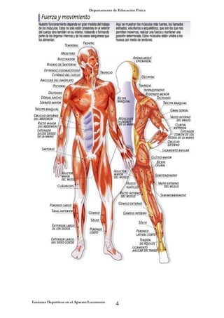 Departamento de Educación Física
Lesiones Deportivas en el Aparato Locomotor
4
 