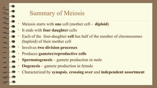 2Lesson 06 - Human Life Cycle and Meiosis - Copy.ppt