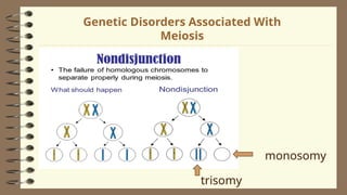 2Lesson 06 - Human Life Cycle and Meiosis - Copy.ppt
