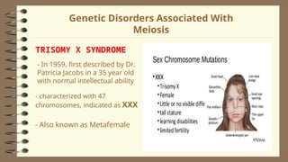 2Lesson 06 - Human Life Cycle and Meiosis - Copy.ppt