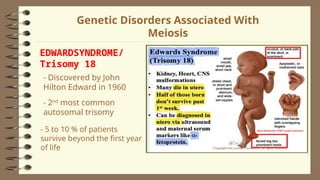 2Lesson 06 - Human Life Cycle and Meiosis - Copy.ppt