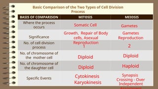 2Lesson 06 - Human Life Cycle and Meiosis - Copy.ppt
