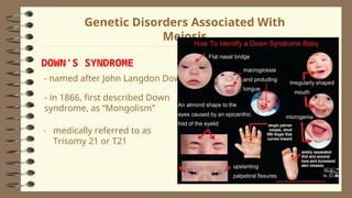 2Lesson 06 - Human Life Cycle and Meiosis - Copy.ppt