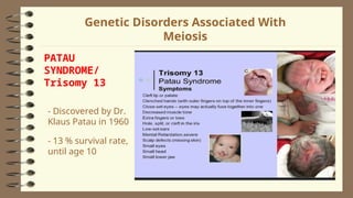 2Lesson 06 - Human Life Cycle and Meiosis - Copy.ppt