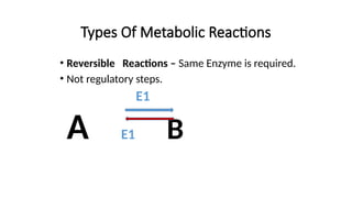 Types Of Metabolic Reactions
• Reversible Reactions – Same Enzyme is required.
• Not regulatory steps.
E1
A E1 B
 