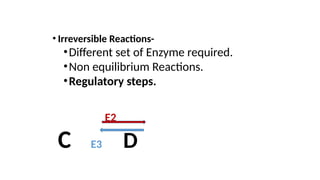 • Irreversible Reactions-
•Different set of Enzyme required.
•Non equilibrium Reactions.
•Regulatory steps.
E2
C E3 D
 
