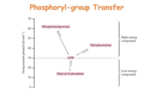 Phosphoryl-group Transfer
 