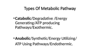 Types Of Metabolic Pathway
•Catabolic/Degradative /Energy
Generating/ATP producing
Pathways/Exothermic.
•Anabolic/Synthetic/Energy Utilizing/
ATP Using Pathways/Endothermic.
 