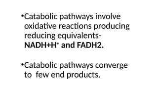 •Catabolic pathways involve
oxidative reactions producing
reducing equivalents-
NADH+H+
and FADH2.
•Catabolic pathways converge
to few end products.
 