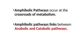 •Amphibolic Pathways occur at the
crossroads of metabolism.
•Amphibolic pathways links between
Anabolic and Catabolic pathways.
 
