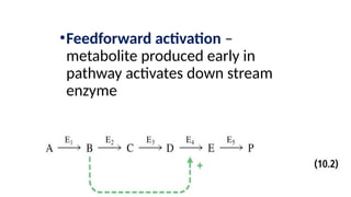 •Feedforward activation –
metabolite produced early in
pathway activates down stream
enzyme
 
