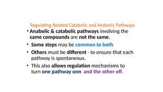 Regulating Related Catabolic and Anabolic Pathways
• Anabolic & catabolic pathways involving the
same compounds are not the same.
• Some steps may be common to both
• Others must be different - to ensure that each
pathway is spontaneous.
• This also allows regulation mechanisms to
turn one pathway onn and the other off.
 