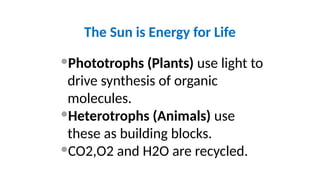 The Sun is Energy for Life
Phototrophs (Plants) use light to
drive synthesis of organic
molecules.
Heterotrophs (Animals) use
these as building blocks.
CO2,O2 and H2O are recycled.
 