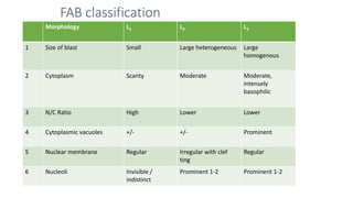 FAB classification
Morphology L1 L2 L3
1 Size of blast Small Large heterogeneous Large
homogenous
2 Cytoplasm Scanty Moderate Moderate,
intensely
basophilic
3 N/C Ratio High Lower Lower
4 Cytoplasmic vacuoles +/- +/- Prominent
5 Nuclear membrane Regular Irregular with clef
ting
Regular
6 Nucleoli Invisible /
indistinct
Prominent 1-2 Prominent 1-2
 