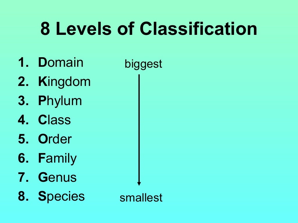 Levels of classification 2010
