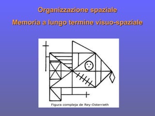Organizzazione spazialeOrganizzazione spaziale
Memoria a lungo termine visuo-spazialeMemoria a lungo termine visuo-spaziale
 