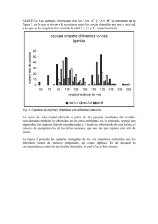 IGARTUA: Las capturas observadas con los “Arr. A” y “Arr. B” se presentan en la
figura 1, en la que se observa la semejanza entre las modas obtenidas por una y otra red,
a las que se les asignó tentativamente la edad 1+, 2+ y 3+ respectivamente.
captura arrastre diferentes lances
Igartúa
0
10
20
30
40
50
60
55 75 95 115 135 155 175 195 215 235 255
longitud estándar en mm
numero
real
de
capturas
red A.1 red A.2 red B
Fig. 1. Capturas de pejerrey obtenidas con diferentes arrastres.
La curva de selectividad obtenida a partir de los propios resultados del arrastre,
considerando también los obtenidos en los otros ambientes, tal lo esperado, semejó una
sigmoidea; las capturas fueron estandarizadas a 1 hectárea, obteniendo de esta forma, el
número de ejemplares/ha de las tallas menores, que son las que captura este arte de
pesca.
La figura 2 presenta las capturas corregidas de los tres muestreos realizados con los
diferentes trenes de enmalle empleados, así como réplicas. Es de destacar la
correspondencia entre los resultados obtenidos, lo cual afianza los mismos.
 