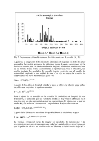 captura corregida enmalles
Igartúa
0
20
40
60
80
100
120
125 145 165 185 205 225 245 265 285 305 325 345
longitud estándar en mm
numero
de
capturas
enm A.1 enm A.2 enm B
Fig. 2. Capturas corregidas obtenidas con dos diferentes trenes de enmalle (A y B).
A partir de la integración de los resultados obtenidos del muestreo con todos los artes
empleados, fue posible reconocer las diferentes clases de edad, corroboradas por la
lectura de escamas, con sus valores modales en longitud, así como su numerosidad/área
de red barrida; de esta forma, y considerando la superficie que pesca el arte activo, fue
posible trasladar los resultados del enmalle (previa corrección por el modelo de
selectividad empleado) a una unidad de área. Con ello se obtuvo la ecuación de
supervivencia/ha, cuyos parámetros de ajuste son:
N(t) = 15770,131 e-2,22279 t
A partir de los datos de longitud estándar y peso se obtuvo la relación entre ambas
variables, que responde a la siguiente ecuación:
P = 3,1 x 10-6
Lstd3,239368
Para el ajuste de las variables de la ecuación de crecimiento en longitud de von
Bertalanffy, se consideró que las 3 primeras modas de la población obtenidas en el
muestreo son las más representativas por las características del mismo, por lo que las
modas 4+ y 5+ no fueron contempladas. Los parámetros de ajuste obtenidos son:
Lstd (t) = 396,4625 (1-e-0,360002(t-0,07783)
)
A partir de las últimas dos ecuaciones fue posible obtener el crecimiento en peso:
P (t) = 849,28 (1-e-0,360002(t-0,07783)
)3,239368
La biomasa poblacional surge de integrar los resultados de numerosidad y de
crecimiento en peso, en este caso expresado en kg/ha. La edad crítica, o sea el tiempo en
que la población alcanza su máximo valor de biomasa es relativamente bajo (t* =
 