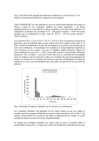 Fig 3. Cpue del tren de enmalle para diferentes ambientes. La escala del eje "y" se
mantuco constante para facilitar la comparación entre lagunas.
LOS FLAMENCOS: En este ambiente la curva de selectividad obtenida del arrastre se
obtuvo a partir de sus resultados, también con forma sigmoidea, y no difiere
significativamente si se incorporan los lances realizados en el resto de los ambientes. El
rendimiento en número tuvo un rango de 25 - 264 pejerrey (media = 118,67 mm Lstd),
mientras que el rendimiento en peso varió de 321,53 - 3551,38 g/lance (media =
2056,32 g/lance).
Las estaciones FLA 1, FLA 4, FLA 5, FLA 7, FLA 8 y FLA 9 superaron el centenar de
pejerreyes, pero de reducida talla, ya que el peso total de la captura osciló entre 2 y 4
kilos. Todos los rendimientos en peso de esta laguna con el arrastre son menores que el
resto de los ambientes. Al estandarizar los resultados, la numerosidad/ha manifiesta la
clara presencia de dos modas a las que se adjudicó edades diferentes (figura 4),
correspondiendo la menor (0+ = 39,931 mm Lstd) al desove recientemente finalizado
(primavera ´96), y la edad 1+ con la de 151,667 mm Lstd. La variación de los resultados
entre los distintos sitios de muestreo, indica una condición de gran heterogeneidad del
sistema, en función de la extensión del sistema se generan microhábitats en diferentes
lugares de su costa, unos más propicios que otros para el desarrollo de los juveniles de
pejerrey.
promedio de arrastre/ha
(n =9) Los Flamencos
0
100
200
300
400
500
600
700
5 25 45 65 85 105 125 145 165 185 205 225 245 265
Lstd en mm
número
de
individuos
Fig. 4. Promedio de capturas obtenidas con el arrastre en Los Flamencos.
Los resultados obtenidos del promedio de las cuatro fechas en que fue calado el
enmalle, permiten reconocer fácilmente una primer moda coincidente con la edad 1+ del
arrastre, siendo difícil en el resto de las tallas la identificación de modas, al existir
equidad de capturas en peces de mayor longitud estándar.
Al integrar los resultados obtenidos con ambos artes de pesca, es posible hallar la
numerosidad de peces/ha, y al igual que a partir del tratamiento individual de los artes
 