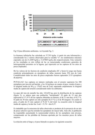 0
20
40
60
80
100
120
15 21 30 40
distancia entre nudos
cpue/paño
kg/15
horas
FLAMENCO 1 FLAMENCO 2
FLAMENCO 3 FLAMENCO 4
Fig 5:Cpue diferentes ambientes. ver leyenda Fig. 3.
La biomasa infinita/ha fue calculada en 37,793 kg/ha. A partir de esta información y
considerando los 2 valores observados para la variable "z", los rendimientos máximos
esperados son de 21,2449 kg/ha y 11,87805 kg/ha año respectivamente. Esta variación
en los resultados es otro reflejo de las ya mencionadas condiciones generales de
heterogeneidad presentes en la laguna, que repercutió en las capturas de los artes de
pesca empleados.
De los valores de los factores de condición empleados (IC y factor k) surge una buena
condición principalmente en ejemplares de tallas menores hasta 250 mm de Lstd.
Contabilizando todos las artes de pesca empleados fueron capturados 2133 ejemplares
de pejerrey.
PUTALLAZ: Las capturas en número realizadas con el arrastre superaron los 200
ejemplares por área de red barrida, y los 16 kg/lance en cuanto al peso, siendo el peso y
la longitud media de 80 g y 178,62 mm de Lstd, superando ampliamente la longitud
media de captura del arrastre considerando todos los ambientes.
La cpue del tren de enmalle fue alta: 122,658 kg; pero la distribución de las capturas
(figura 3), es atípica para una población "inexplotada". El paño de 15 mm den
representó el 17,14 % de las capturas obtenidas en número; el de 21 mm den, el 82,7 %.
El paño de 30 mm capturó un sólo ejemplar (0,15 %) y el de 40 ninguno. En cuanto al
peso, el paño de 21 mm capturó el 91,42 % del total. La ecuación entre la longitud
media de captura y la den fue: Lstd = 21,76 + den 8,37.
Es indudable que la estructura de tallas observada es producto de la presencia de un arte
de pesca selectivo que ha extraído los ejemplares de mayor talla. Ante ello, la población
ha respondido aumentando la numerosidad relativa de los ejemplares más jóvenes,
compensando así las pérdidas de biomasa aportada por los ausentes peces de tallas
mayores.
La relación entre el largo y el peso húmedo se ajusta a la siguiente ecuación:
 